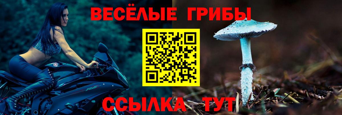 Галлюциногенные грибы мухоморы Можга