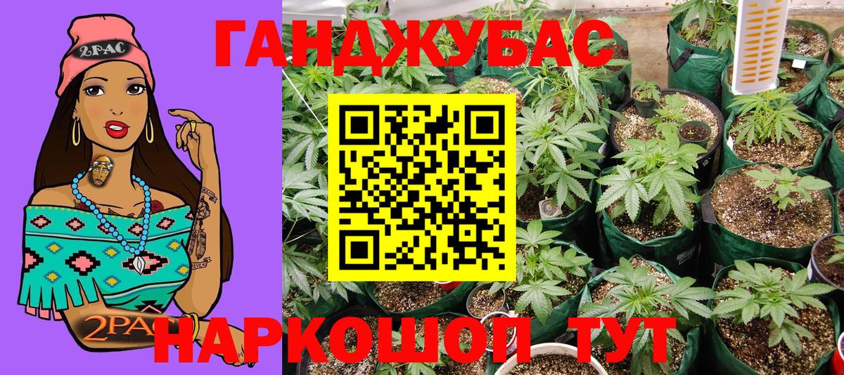 Шишки марихуана марихуана Можга